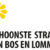De schoonste straat van Bos en Lommer