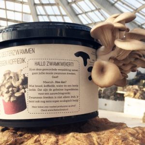 RotterZwam Growkit