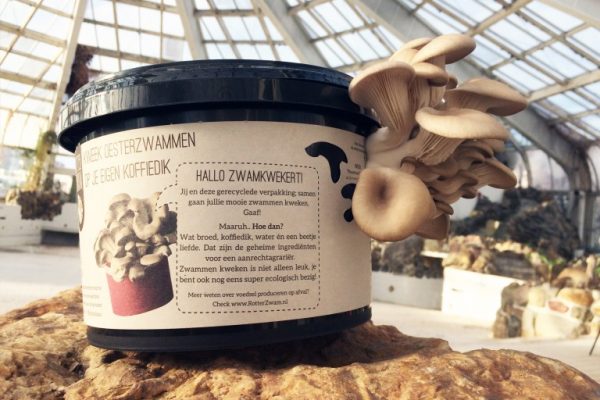 RotterZwam Growkit